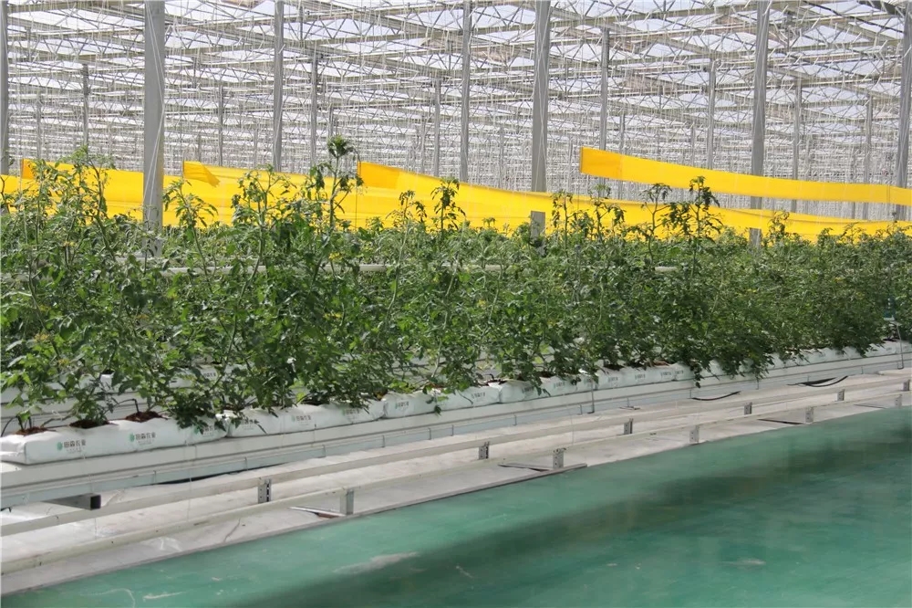 640.webp (11).jpg 640.webp (11).jpg