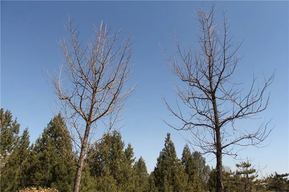 640.webp.jpg 640.webp.jpg