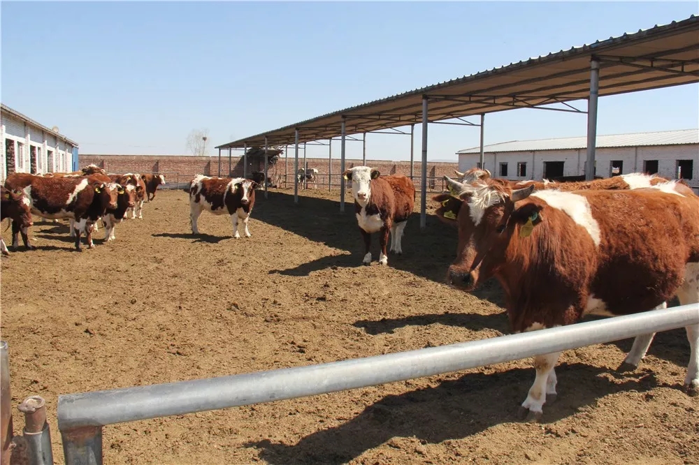 640.webp (4).jpg 640.webp (4).jpg