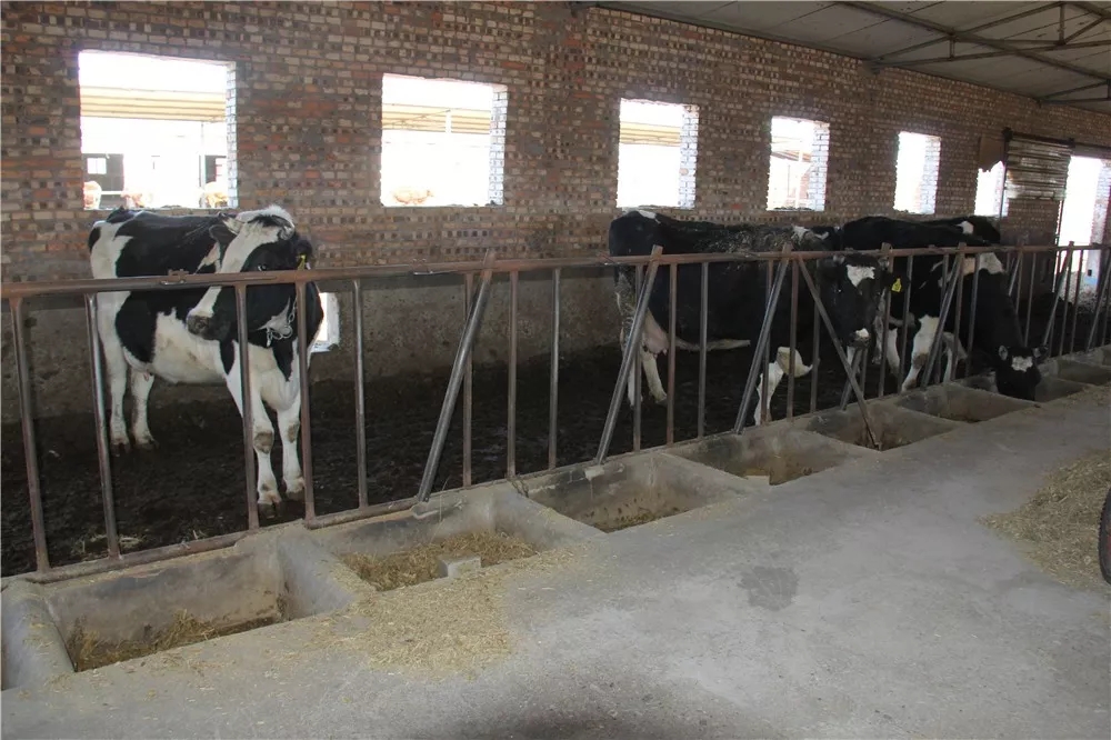 640.webp (6).jpg 640.webp (6).jpg