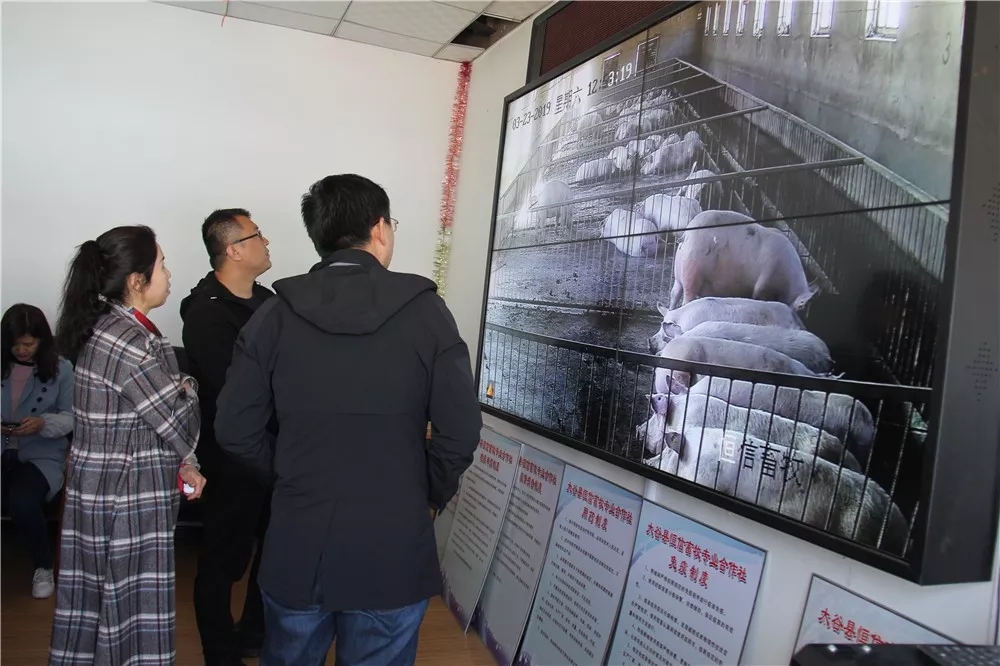 640.webp (15).jpg 640.webp (15).jpg